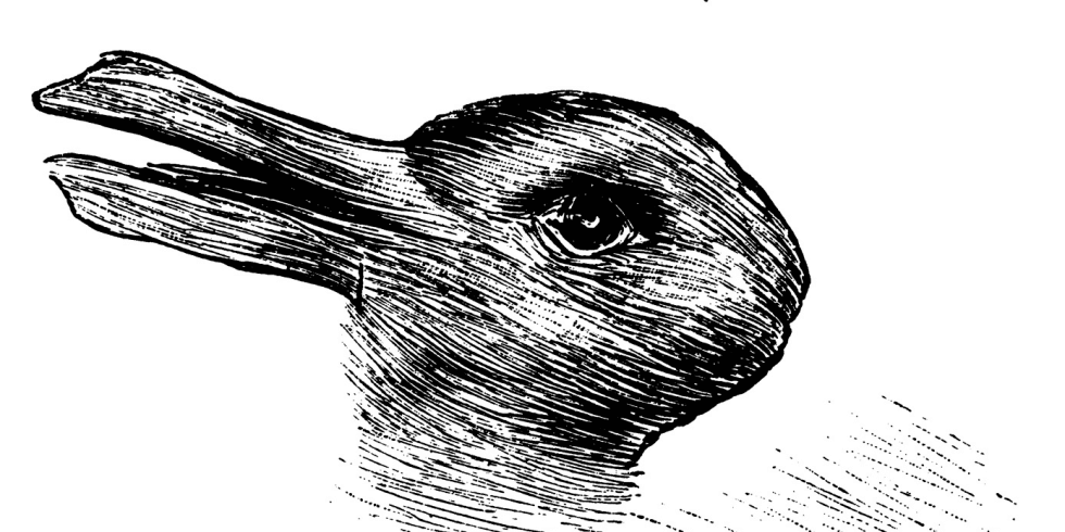 TEST: welk van de twee dieren zie jij op dit plaatje? Als je beide ziet is dat een goed teken!