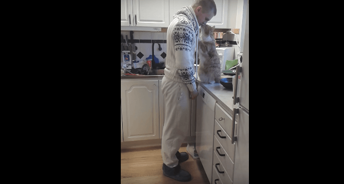 VIDEO: deze kat kan niet stoppen met kopjes geven aan zijn baasje, hier smelt je toch van?