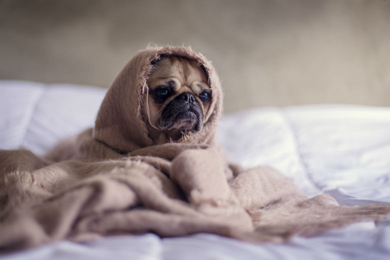 4 tips voor als je moeite hebt met de donkere dagen