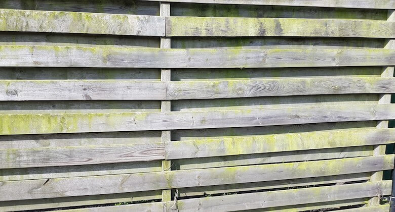 Groene aanslag op je schutting? Met deze huishoudelijke middeltjes verwijder je het zó!