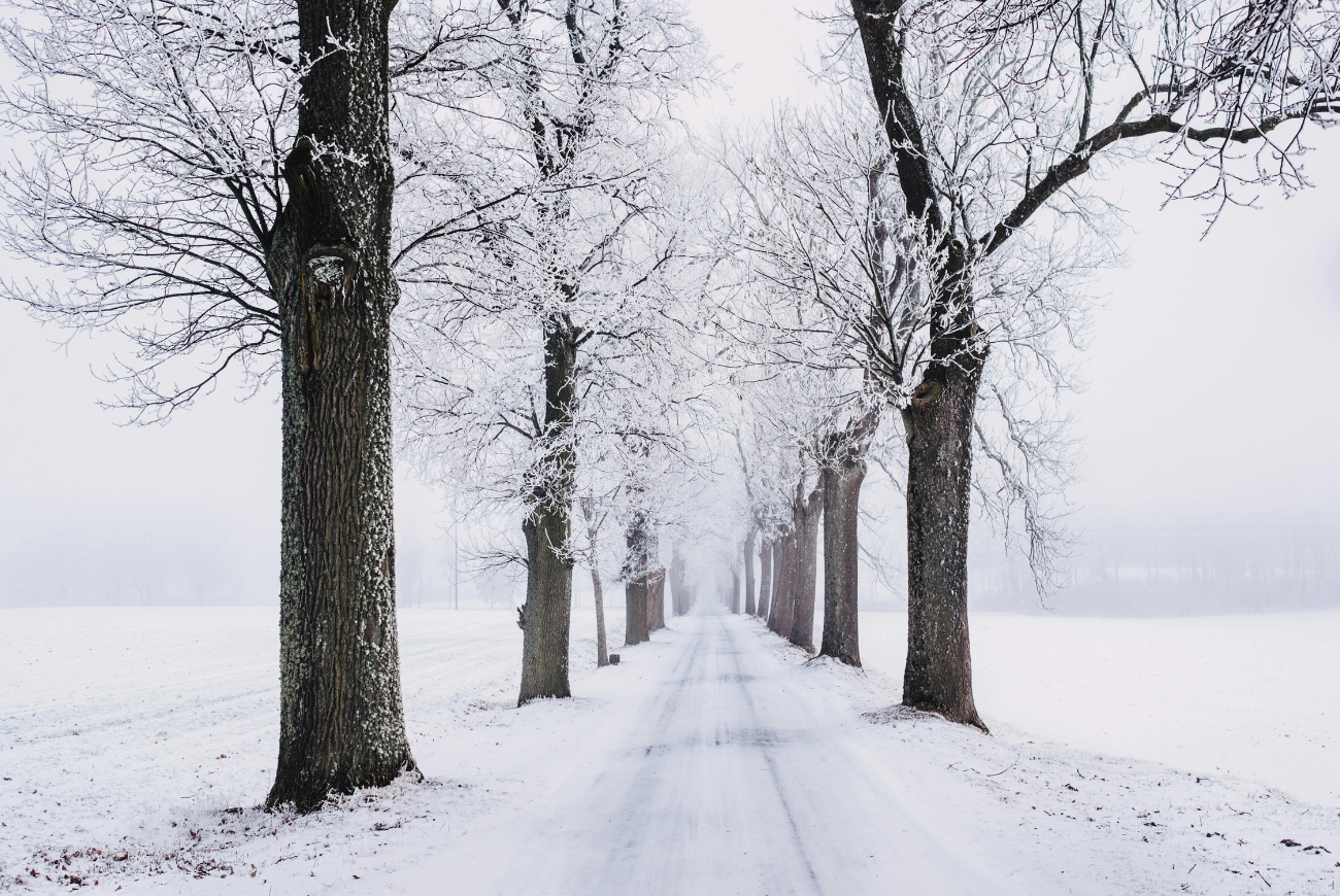 Winters weer: vanavond gaat het opnieuw sneeuwen
