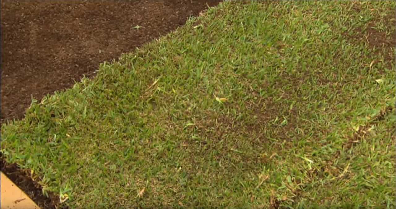 Een bed voor in de tuin 2