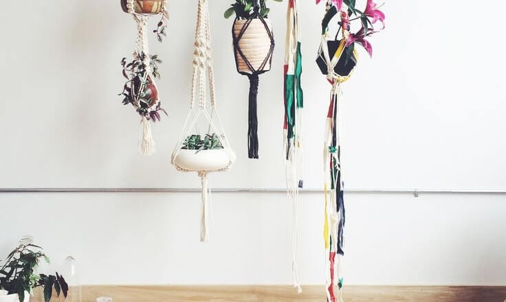 Plantenhangers