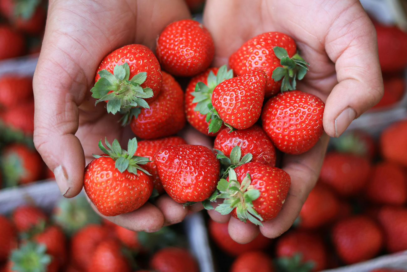Op déze manier blijven je aardbeien tot wel een week vers in de koelkast