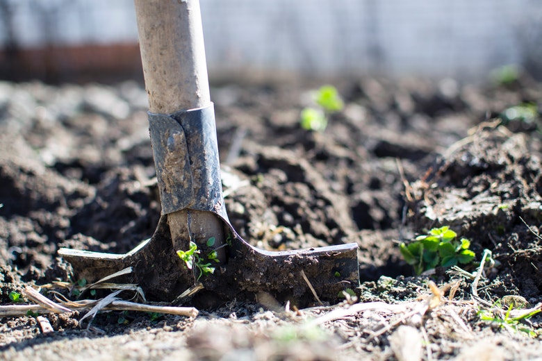 Morgen prachtig weer: ideaal om in de tuin te werken