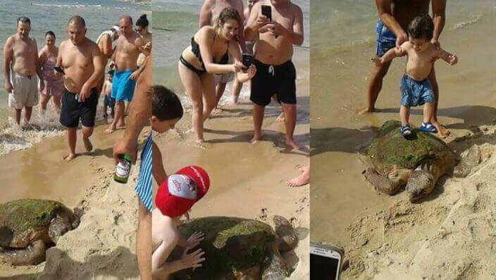 Deze toeristen gingen wel heel ver voor wat selfies, absoluut respectloos!