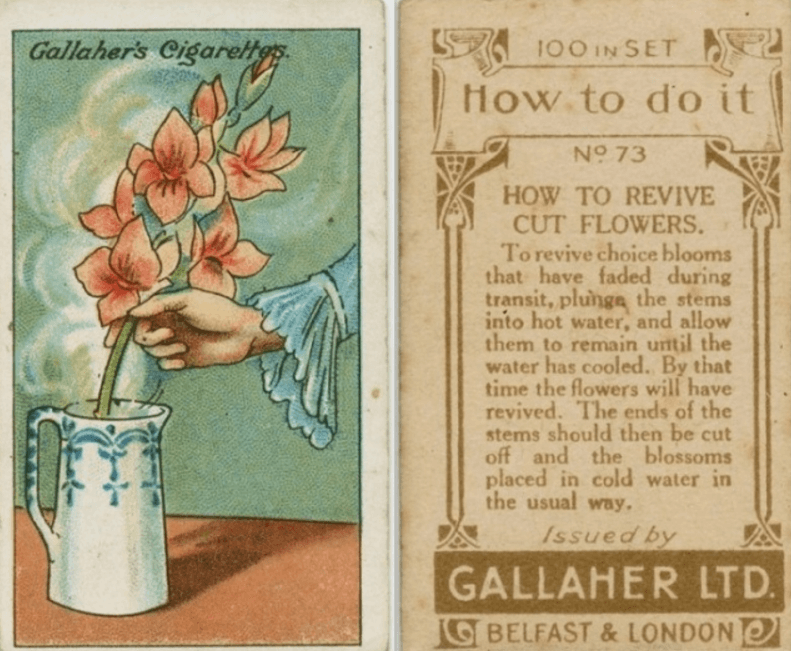 bloemen