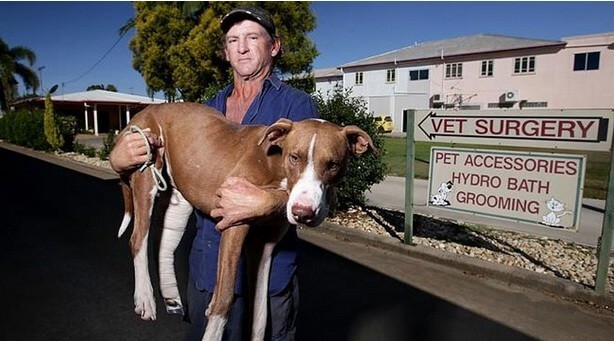 Wauw, deze hond wordt gepakt door een krokodil, wat de man vervolgens doet is echt ongelofelijk!
