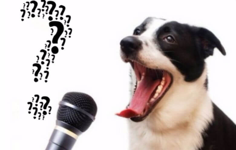 Altijd al benieuwd wat je trouwe viervoeter wil zeggen? Binnenkort weet je het!