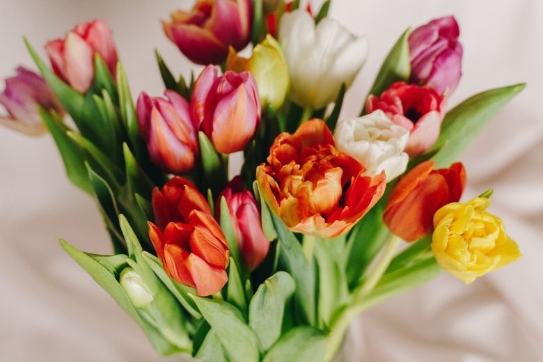 Handig: 7 tips om te voorkomen dat je tulpen gaan hangen