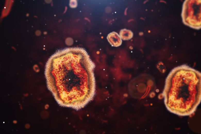 Apenpokkenvirus krijgt een nieuwe naam, heet voortaan mpox