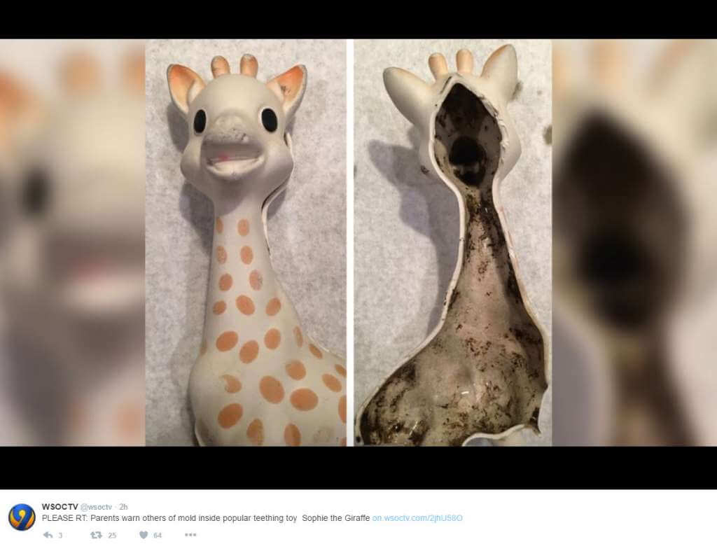 giraffe
