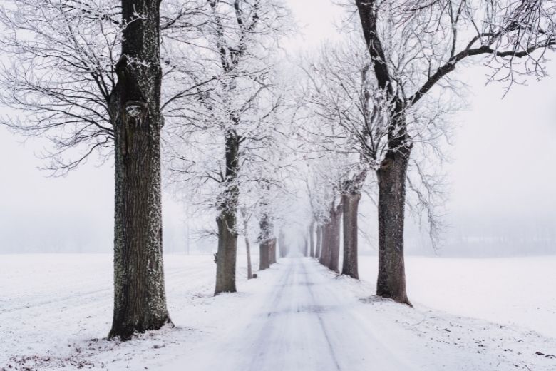 Winterweer op komst: volgende week kans op een laagje sneeuw