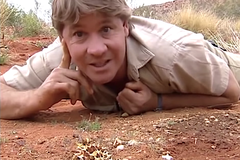 Dit is hoe het nu gaat met de familie van Steve Irwin