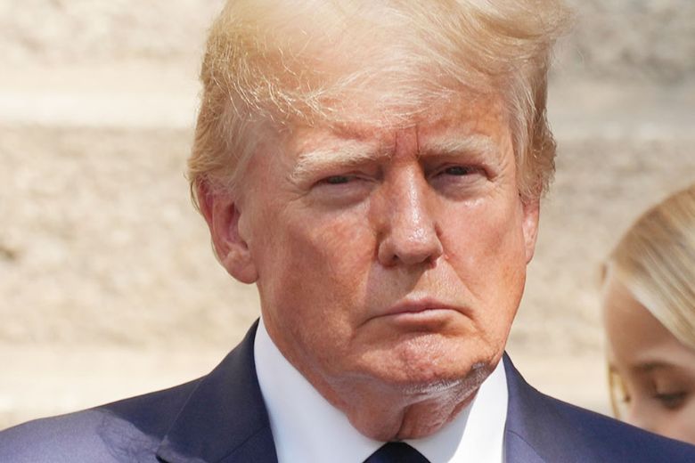 Oud-president Trump steunt de Nederlandse boeren