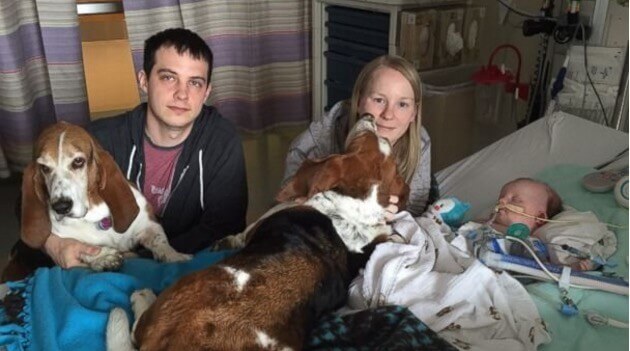 Hun dochter ligt op sterven. Wat deze honden dan doen is echt geweldig! Wat een vrienden!