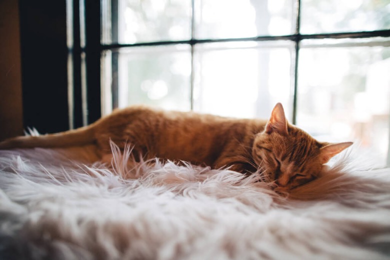 4 tips om wakker te worden wanneer het buiten nog donker is
