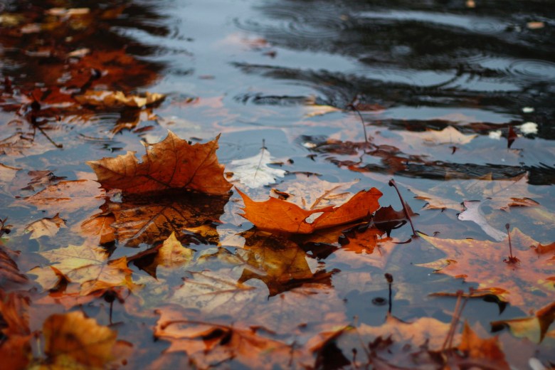 Aha: om deze reden valt er in de herfst zoveel regen