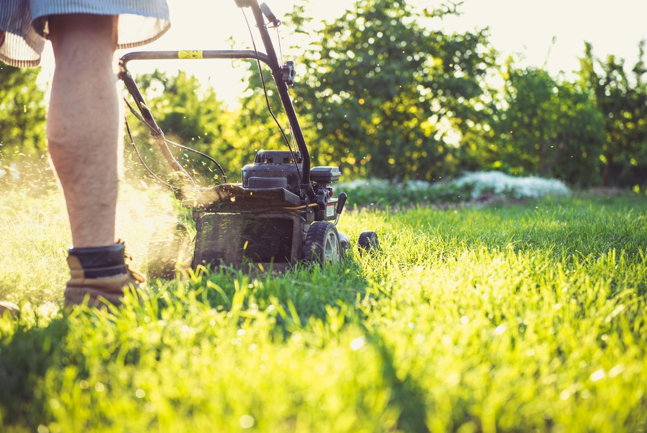 Kan je grasmaaien wanneer het gras nat is?