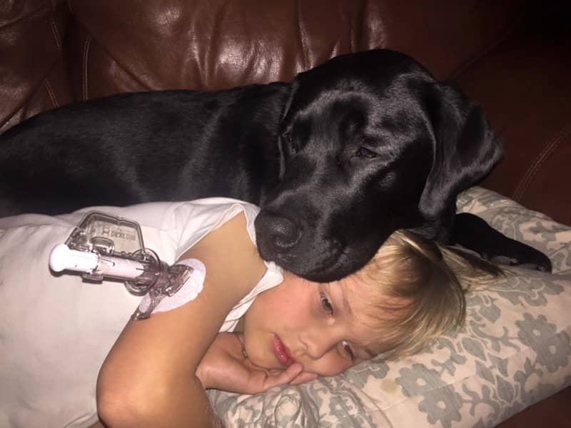 Midden in de nacht waarschuwt deze hond de ouders, ongelofelijk! Wat een held.