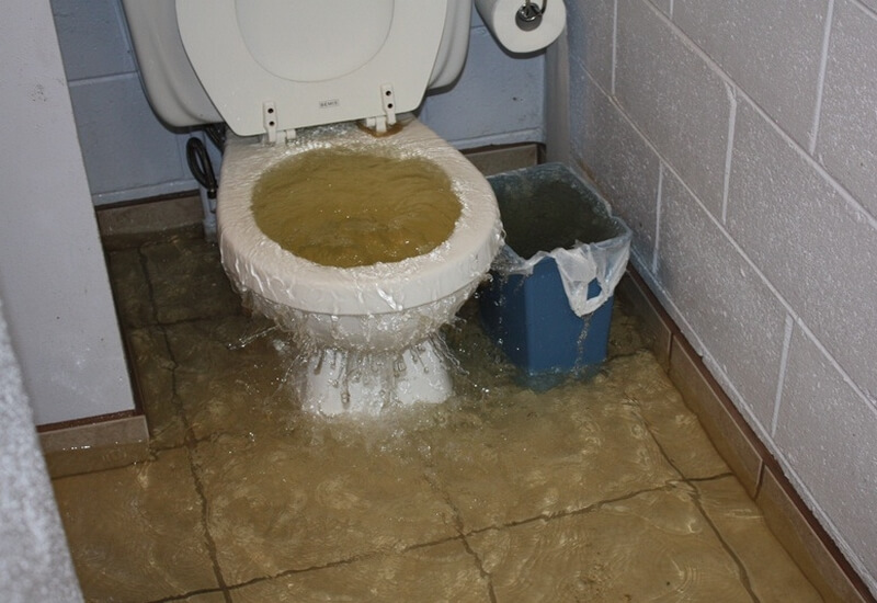Verstopt toilet? Geen nood, met deze tip heb je hem zo ontstopt!