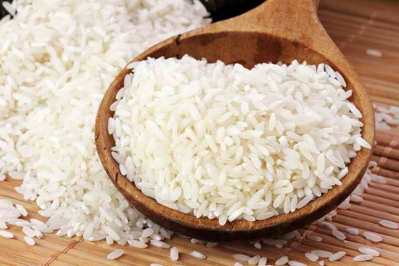 Rijst