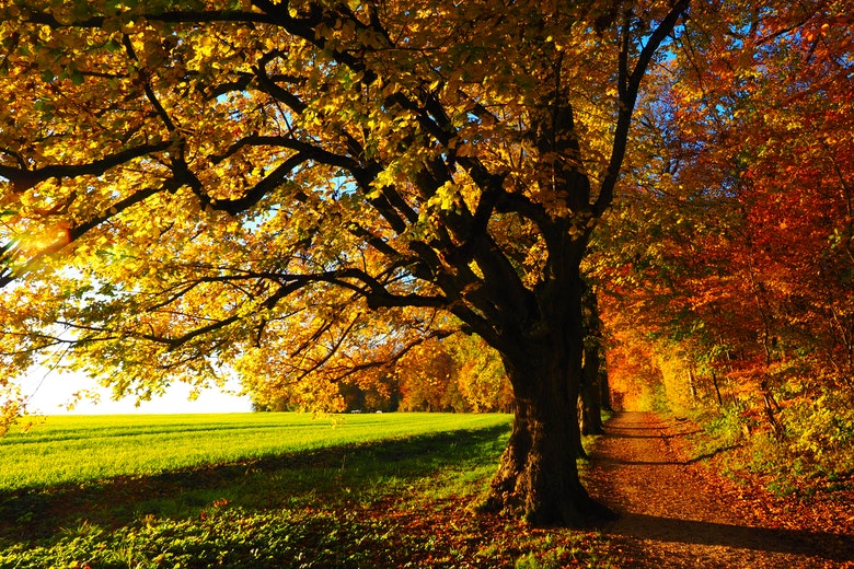 Nazomer in aantocht: eind deze week temperaturen tot 20 graden
