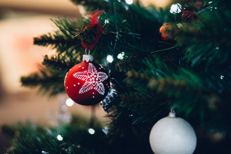 Zo veel insecten kruipen er in jouw kerstboom rond