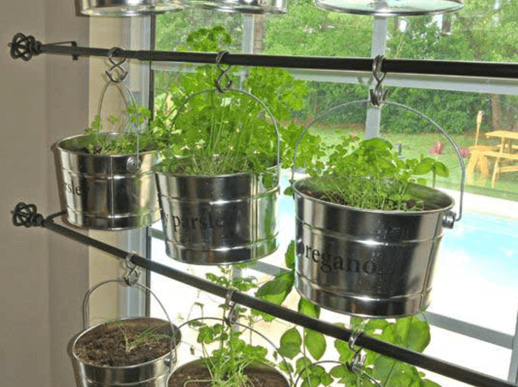 Albert Heijn moestuintje weten te bemachtigen? Dit zijn leuke ideeën voor een kruidentuintje in de keuken!
