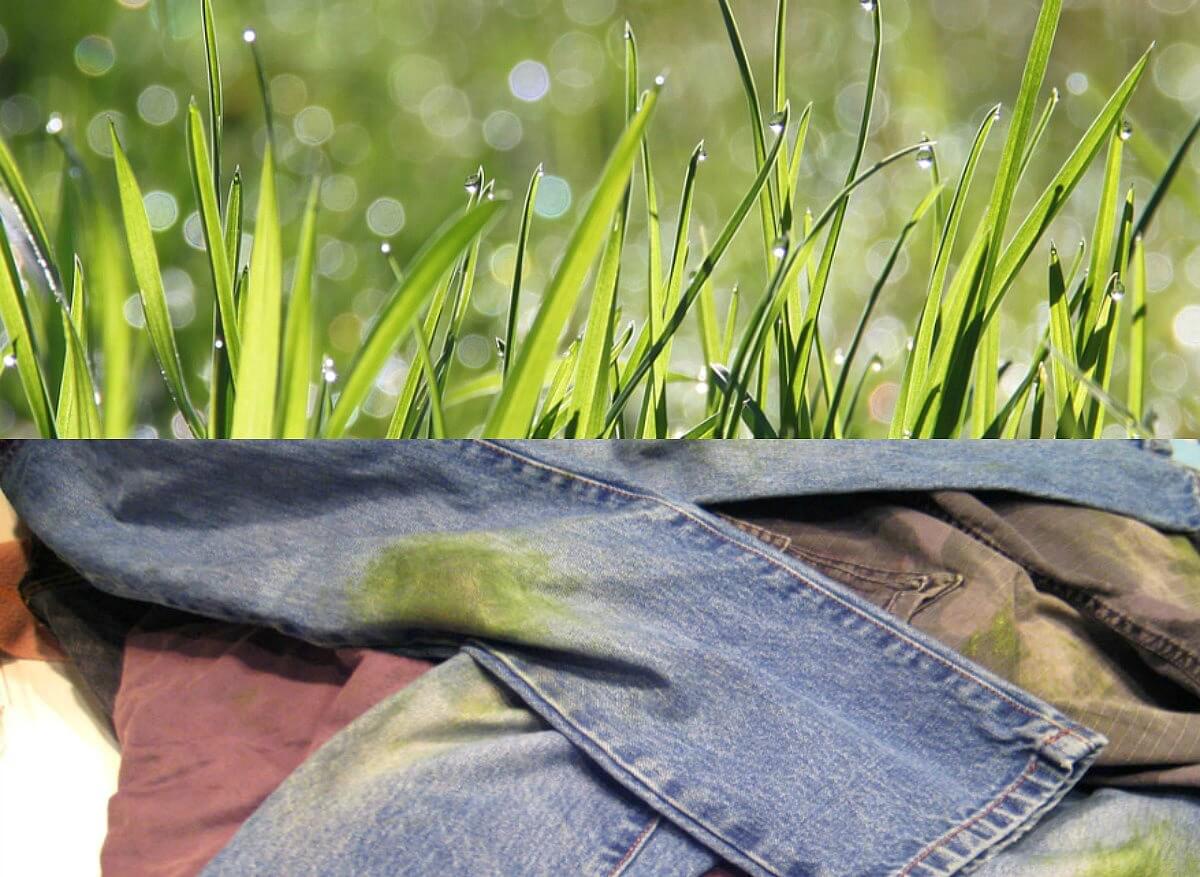 Het is zo gepiept: zo haal je die hardnekkige grasvlek uit je kleding