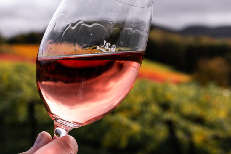 Wauw! Op dit vakantiepark slaap je in een gebruikt wijnvat