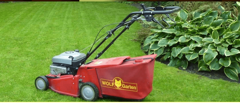 WAARSCHUWING: niet gaan grasmaaien vandaag! Lees hier hoe je je tuin wél de hittegolf doorhelpt!