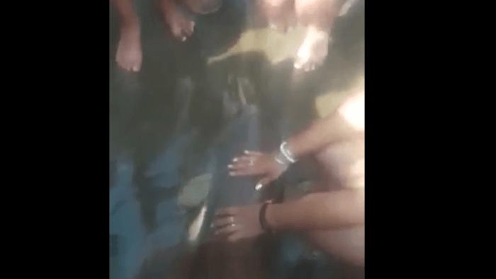 Verschrikkelijk: deze babydolfijn overleed toen hij in handen was van selfie-nemende toeristen..