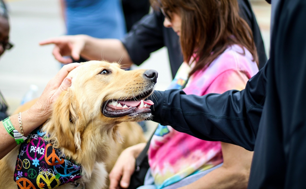 Waarom je de naam van je kind soms verwart met die van je hond