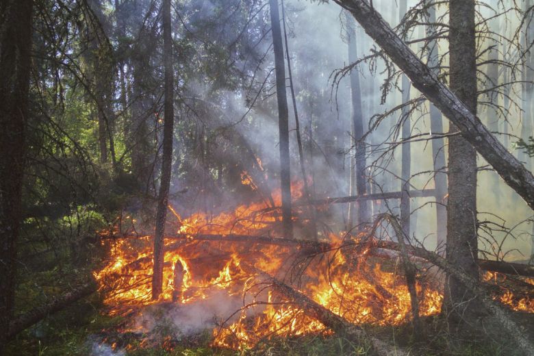 Door droogte groot risico op natuurbranden, brandweer staat op scherp