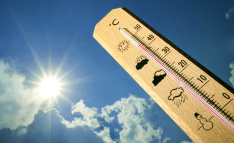 Het wordt vanaf vandaag weer tropisch warm en ZO overleef je het! Duimen omhoog voor het laatste beetje zomer!