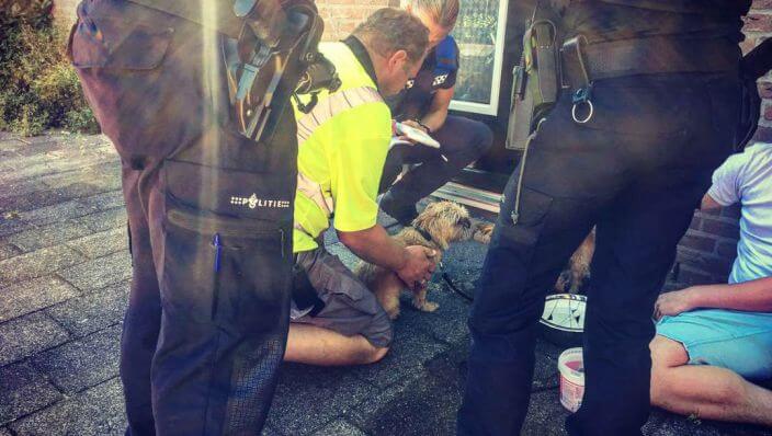 Politie heeft weer uitgedroogde hondjes uit hete auto moeten redden. We blijven waarschuwen! Delen svp!