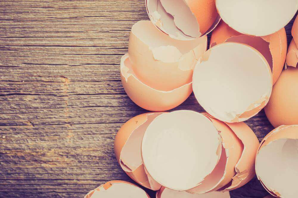 Eierschalen kunnen wonderen in de tuin verrichten, gooi ze dus absoluut niet weg!