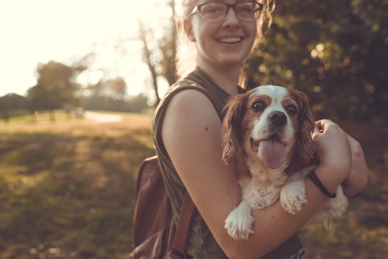 Waarom iedereen met een hond azijn in huis moet hebben