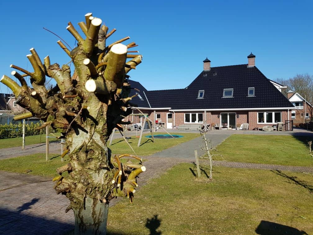Met deze tips krijg je jouw tuin heel simpel weer superstrak en netjes!