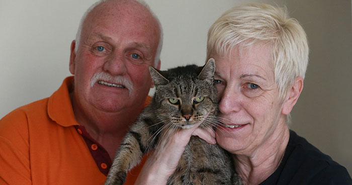 WOW: Dit is de aller-oudste kat ter wereld! Raad jij hoe oud hij precies is?