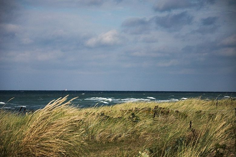 Herfststorm op komst: ‘Wind kan oplopen tot windkracht 8’