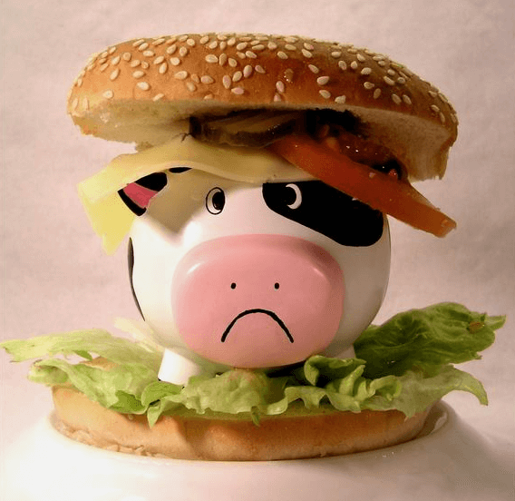 Vegetarisch eten goed voor het milieu? Dit had je niet gedacht!