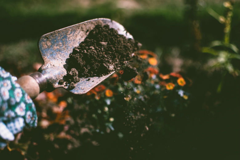 Stop het gesnotter: met deze planten en bloemen maak je je tuin hooikoortsvrij