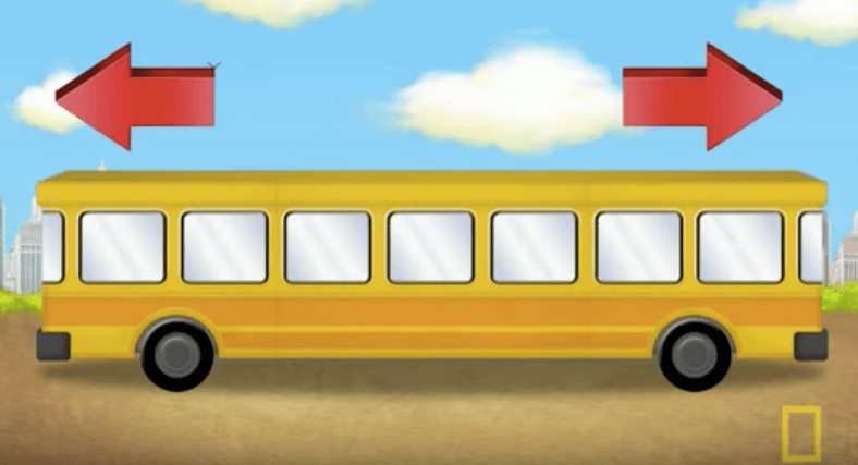 Kun jij zien welke kant deze bus op rijdt?! Kinderen snappen het meteen, volwassenen niet!