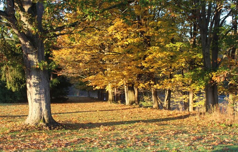 Hallo herfst! Het weer slaat volgende week drastisch om