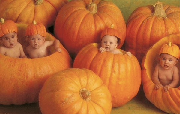 Zo zien de beroemde baby's van Anne Geddes er nu uit!