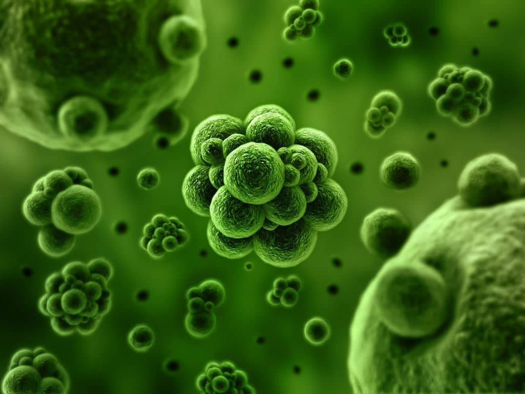 Gadver! Dit zijn de meest vieze plekken vol met bacteriën en jij gebruikt het nu!