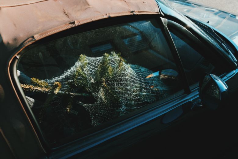 Mag je je kerstboom vervoeren met de achterklep open?