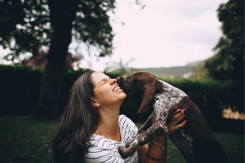 Speeksel van hond is levensgevaarlijk: 'Soms zelfs amputaties nodig'